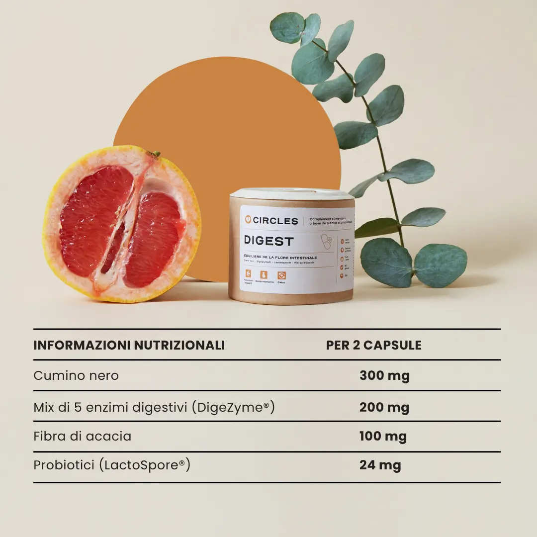 DIGEST. '25 - Image 12