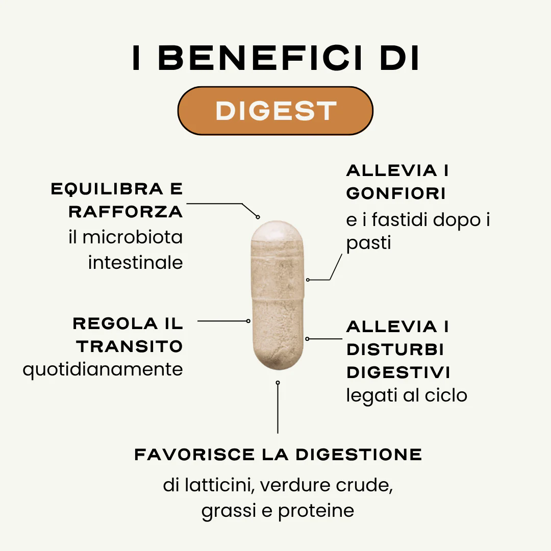 DIGEST. '25 - Image 3