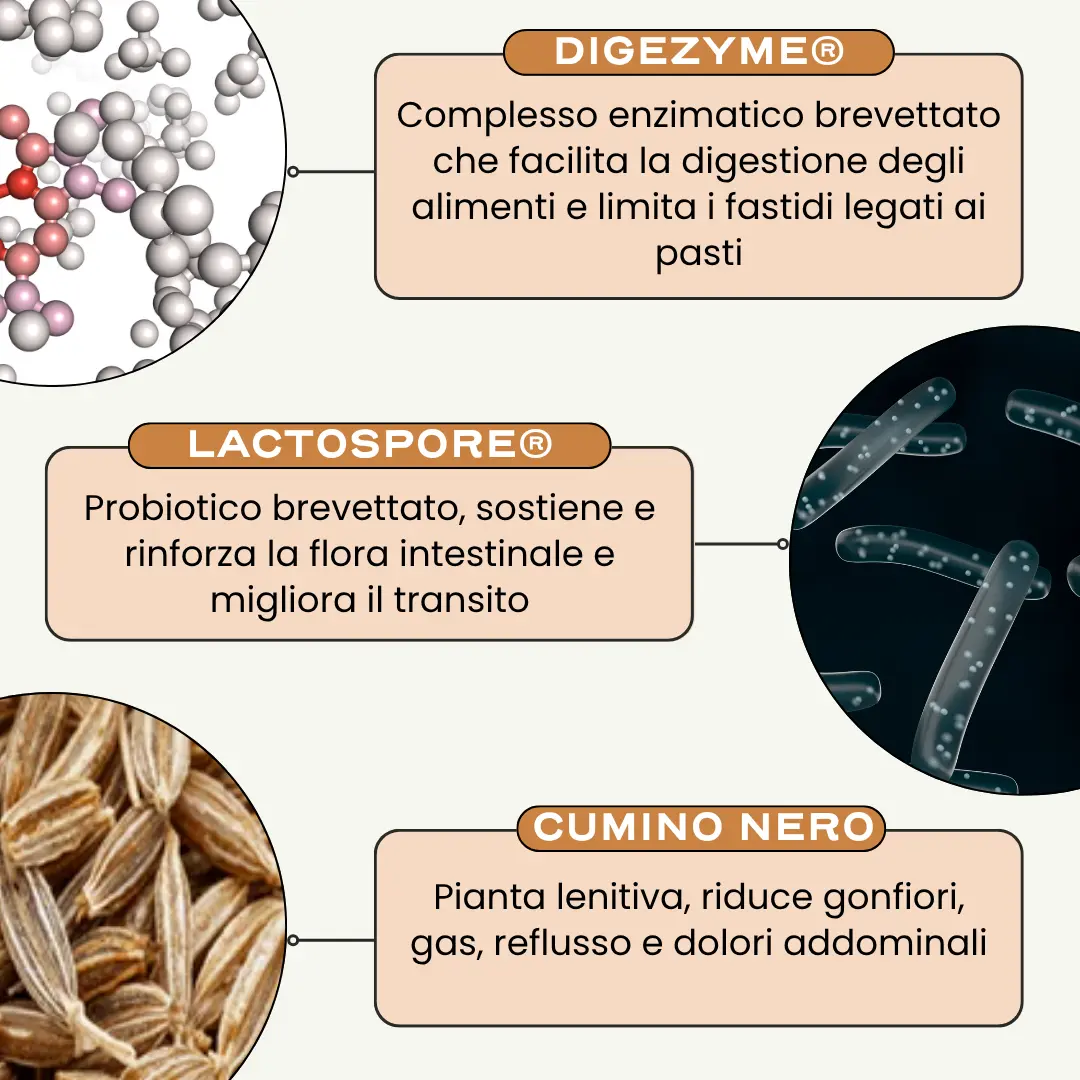 DIGEST. '25 - Image 4