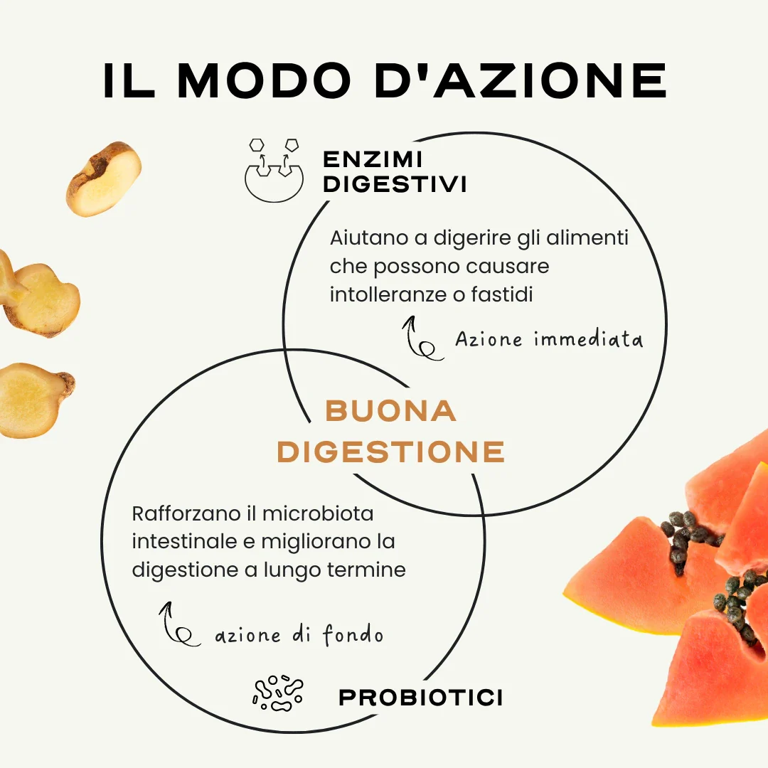 DIGEST. '25 - Image 5