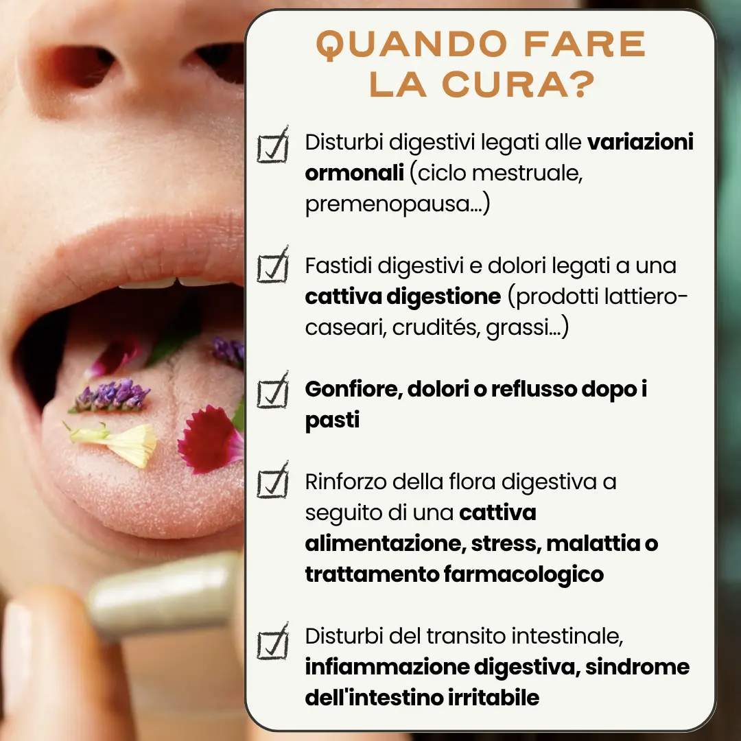 DIGEST. '25 - Image 6
