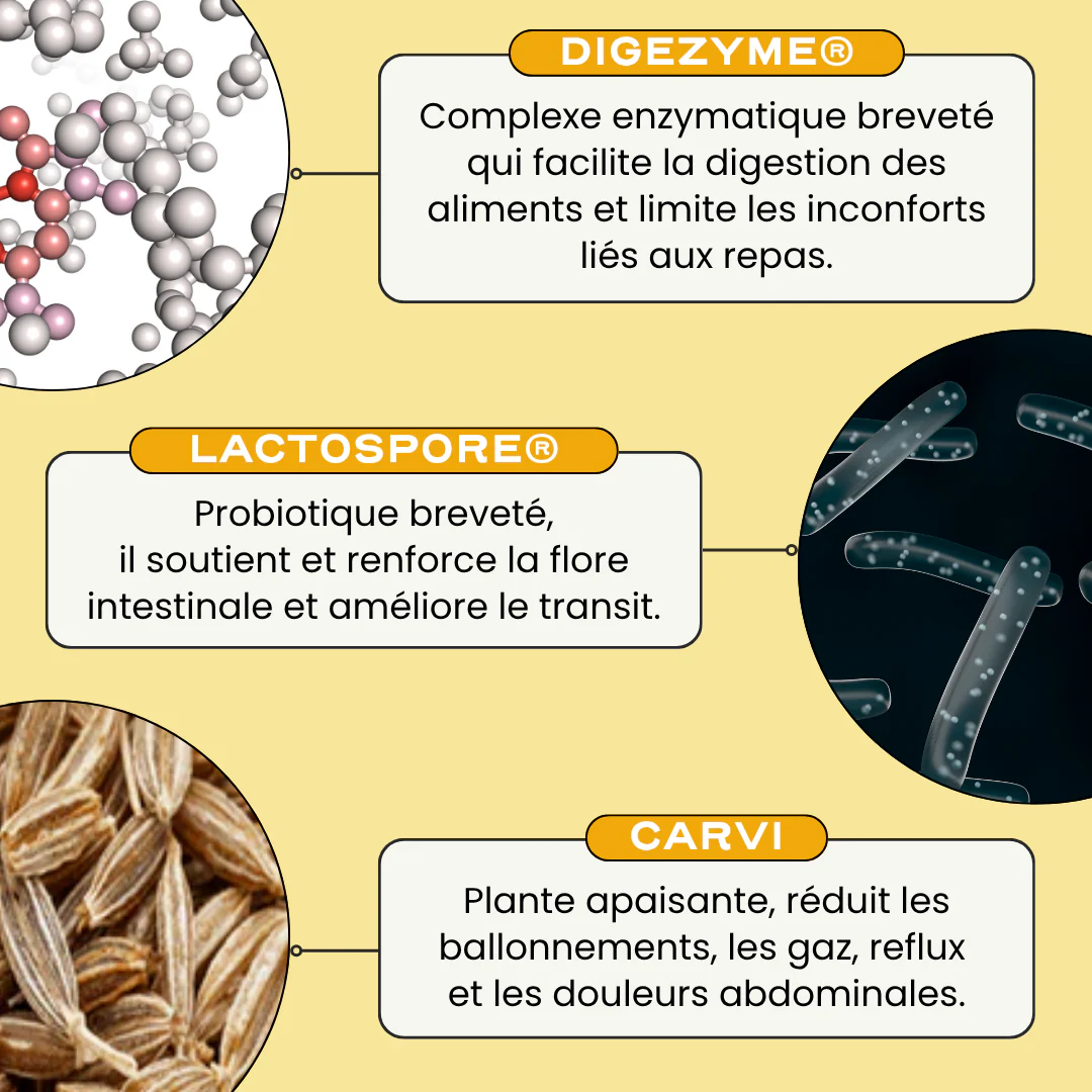 DIGEST - Image 5