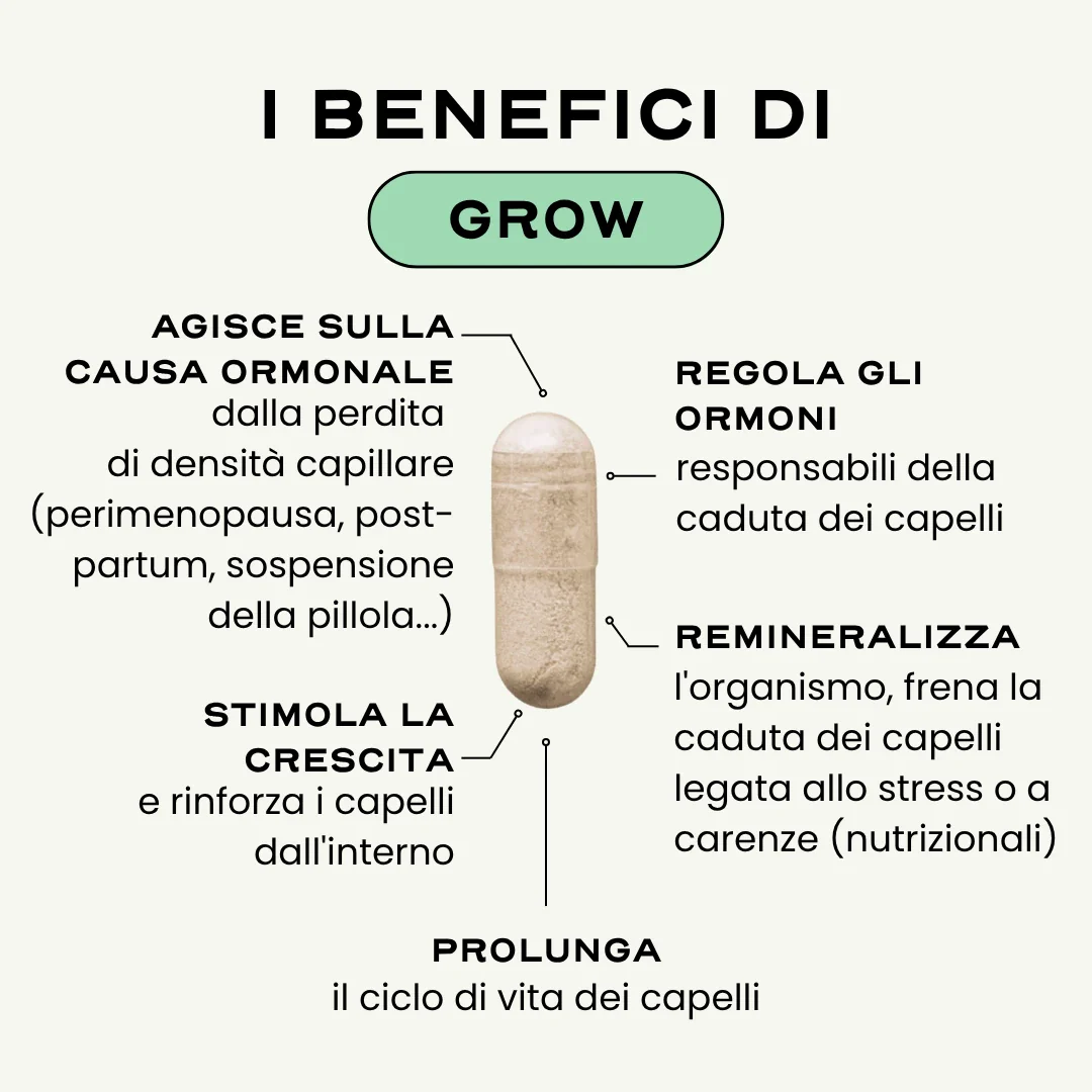 GROW. '25 - Image 8