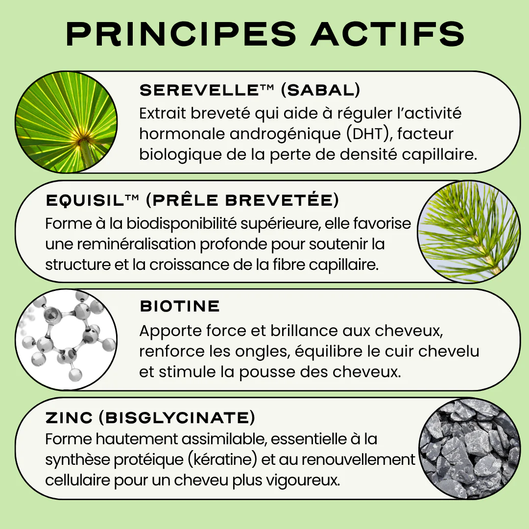 GROW - Image 5