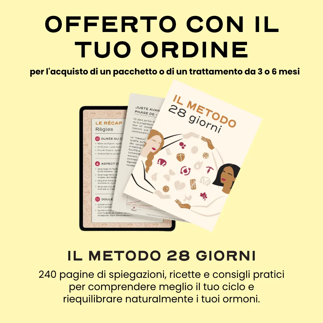 MENO. '25 - Image 11