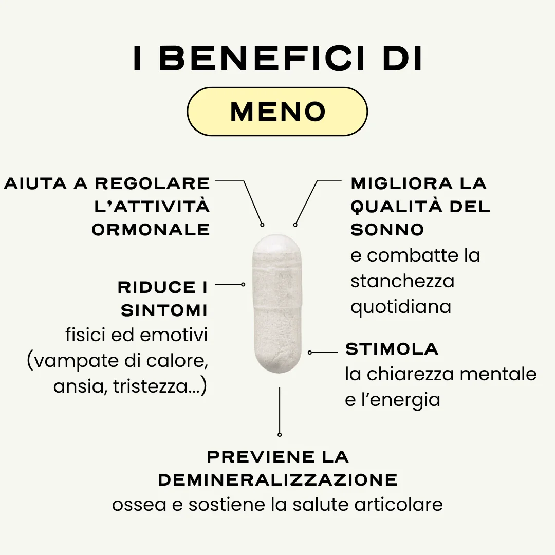 MENO. '25 - Image 2