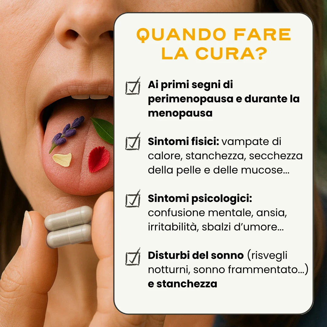 MENO. '25 - Image 5