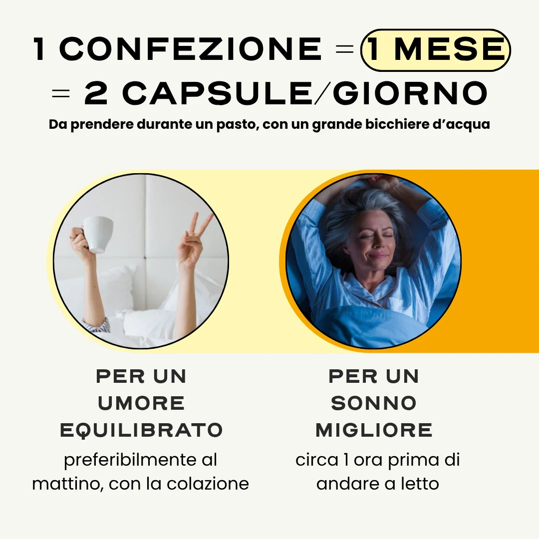 MENO. '25 - Image 9