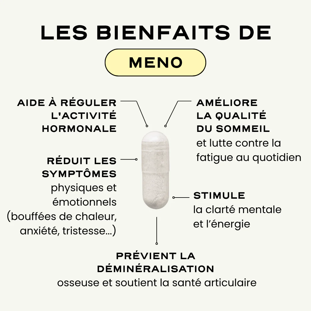 MENO '25 - Image 3