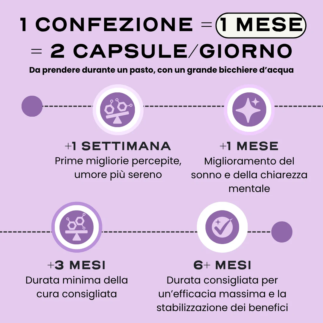 MENO. - Image 6
