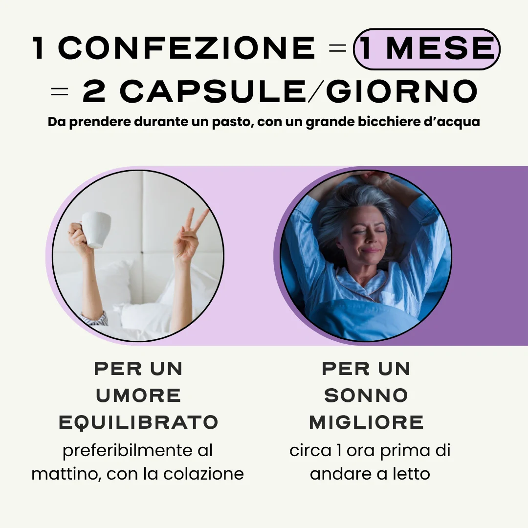 MENO. - Image 7