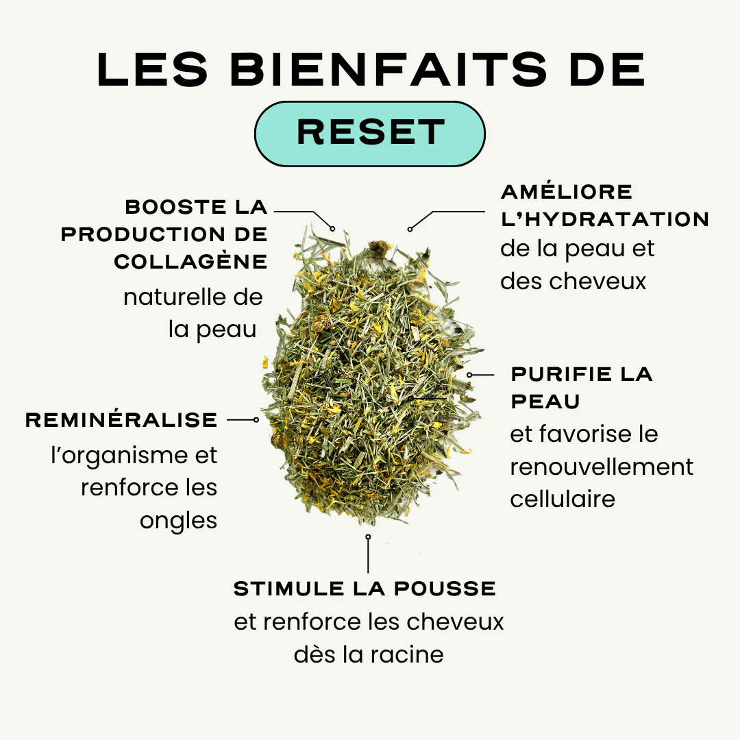 RESET - Image 3