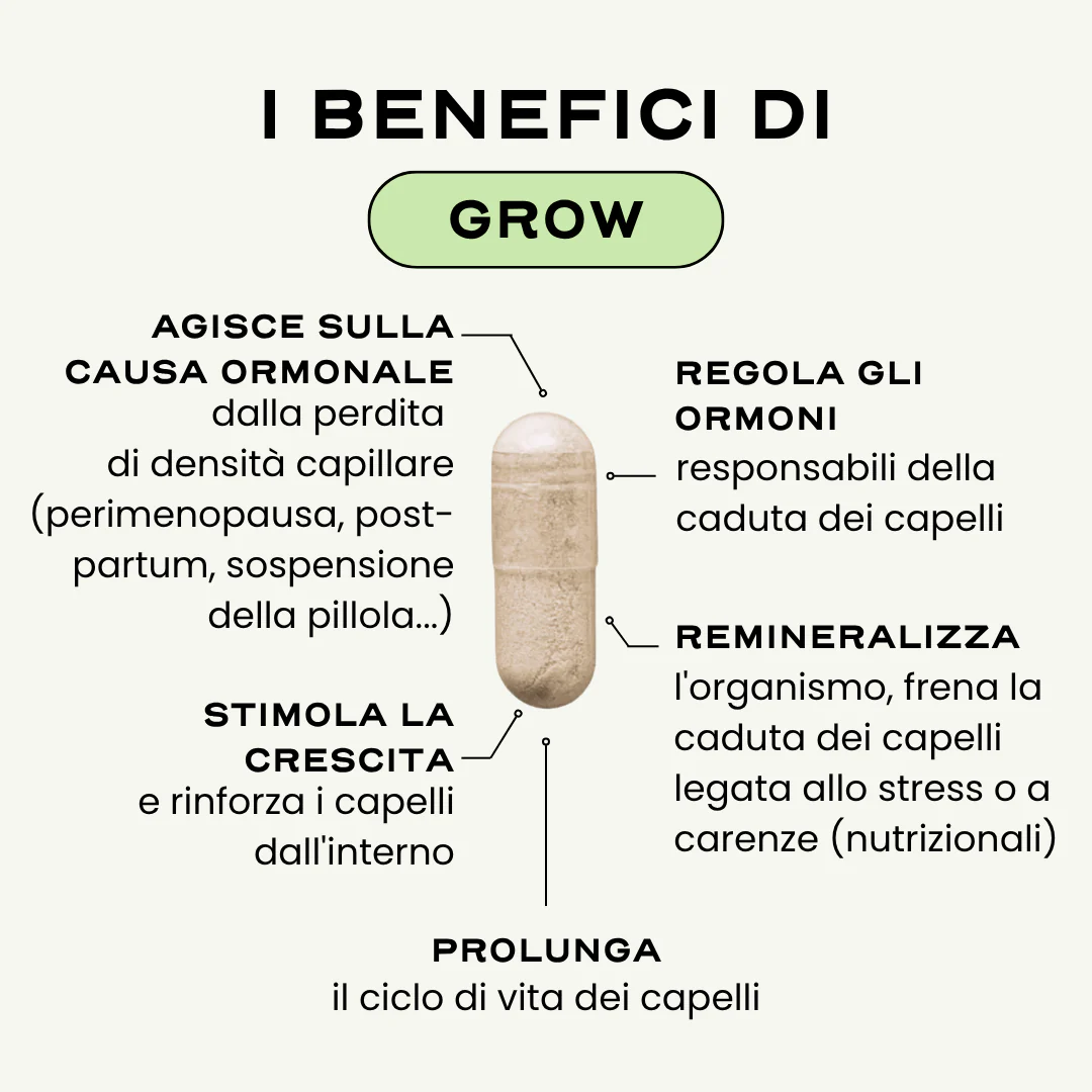 GROW. - Image 3