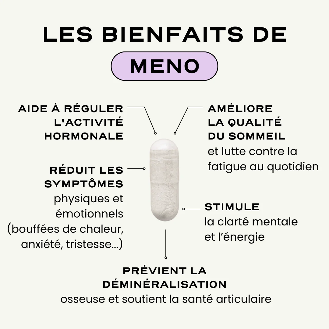MENO - Image 3